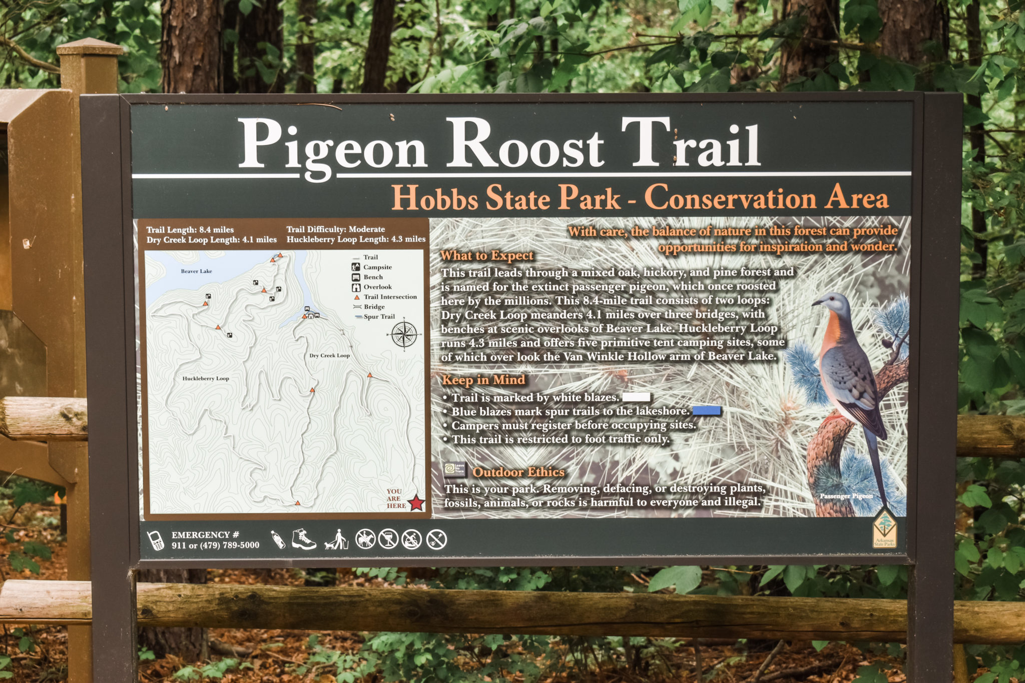 A Trail Review: Pigeon Roost Hiking Trail